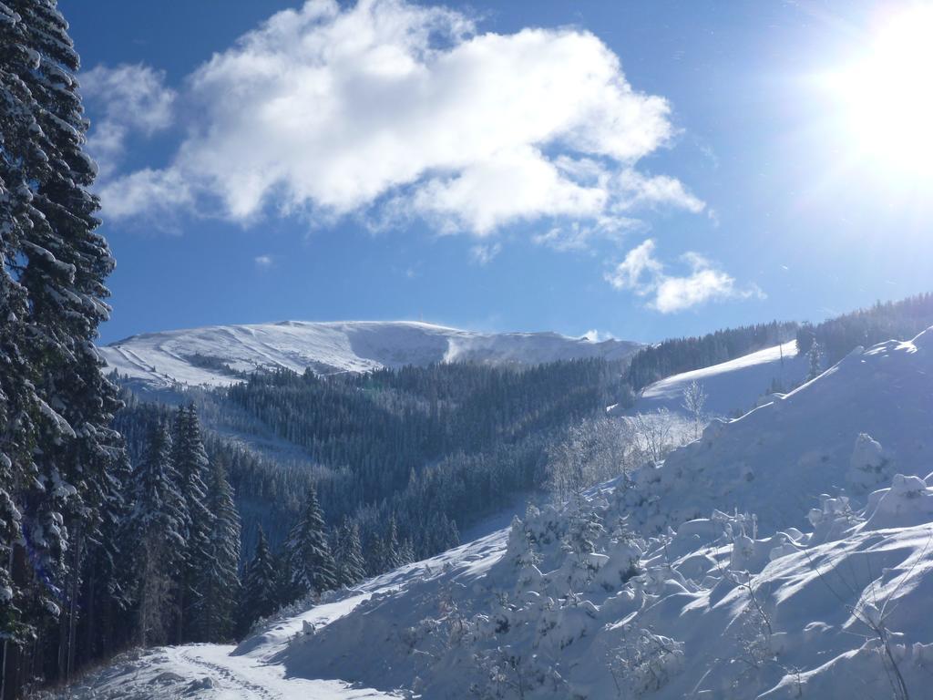 Feriendorf Koralpe By Alps Residence Elsenbrunn Exteriör bild