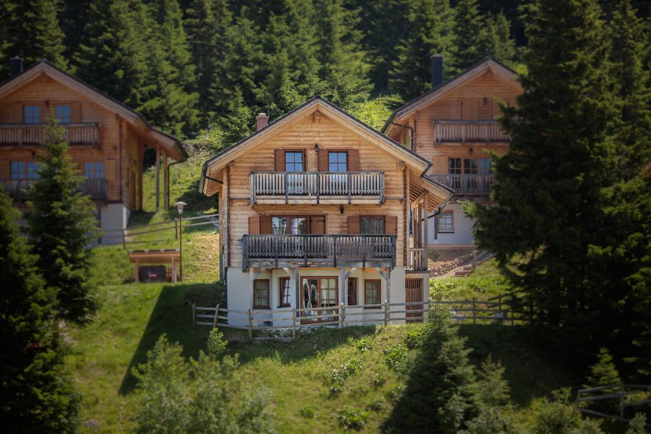 Feriendorf Koralpe By Alps Residence Elsenbrunn Exteriör bild